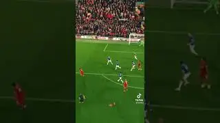 Klopps reaction😍