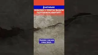 Инвалиду выдали разрушенную квартиру? Ссылка на выпуск в комментариях.