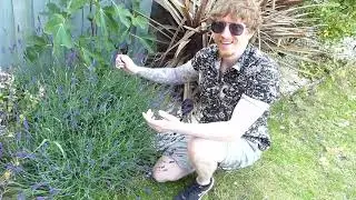 Wild Growth Into Nourish