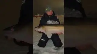 ГЛАВНЫЙ ТРОФЕЙЩИК ПИТЕРА! Поймал огромного судака на виб. 