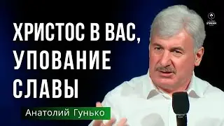Христос в вас, упование славы | Анатолий Гунько | 2 Июня 2024 | Церковь Живой Поток