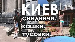 КИЕВ ♥ Куда сходить в Киеве? Сендвичи. Кошки. Тусовки.