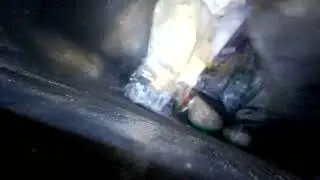Тестирование ВЫЖИВАНИЕ НА ПОМОЙКАХ.1.