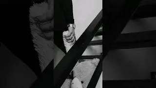 #serpo