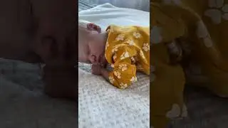 #реборн