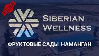 Экскурсия по садам Siberian Wellness Наманган. Как выращивает сырье Сибирское здоровье