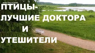 ПЕНИЕ СОЛОВЬЯ ИЗБАВЛЯЕТ ОТ УНЫНИЯ И ТРЕВОГИ.ДОВЕРЬТЕСЬ ПРИРОДЕ-ЭТО ЛУЧШИЙ ДОКТОР И УТЕШИТЕЛЬ.