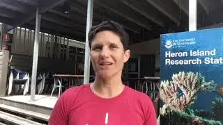 BONUS: Tips for teachers