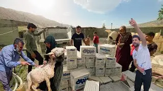 Village blog in the family the day Shirvan walked to the city with a painful foot@PerenOriginal