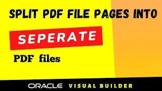 How to split pdf file pages into multiple pdf files in Oracle Visual Builder VBCS, Multiple PDFs