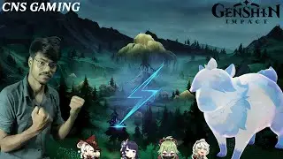 How to kill Imortal Capybara  in Genshin Impact || Cns Gaming