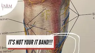 It's Not Your IT Band! Updated 'IT Band Syndrome' Concepts