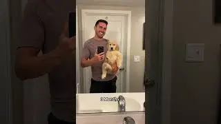 Watch my puppy transform into a teenager! 2-5 months 