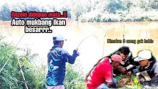 Jackpot..!! Dapat ikan besar auto mukbang di tempat #mancingikanguramebabon #hokimancing