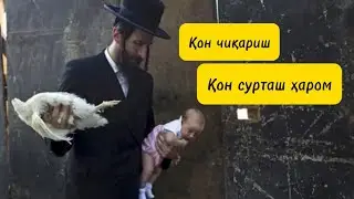 Қон суртаб даволаш (қўй, эчки, товуқ сўйиш)