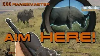 Finding the SWEET SPOT on Cape Buffalo!! (338 Rangemaster) Call of the WILD THEHUNTER 2018