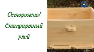 Осторожно: стандартные ульи.