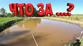 ГИГАНТСКИЙ КАРП УТАЩИЛ УДОЧКУ !