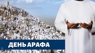 Лучший день в году! День Арафа.