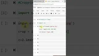Cropping an image from the Original image in OpenCV