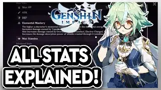 Detailed Stats Guide! What Your Stats Say About Your Character! | Genshin Impact