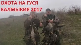 ОХОТА на гуся Калмыкия