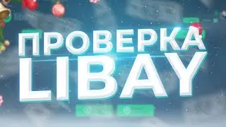 ПРОВЕРКА САЙТА LIBAY // НОВЫЙ САЙТ ОТ СОЗДАТЕЛЕЙ NVUTI И CABURA