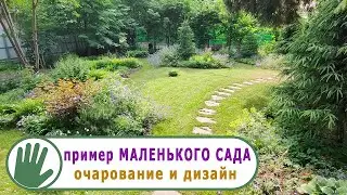 Видео журнал 