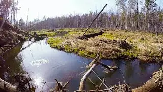 ПЕРВАЯ ВЕСЕННЯЯ РЫБАЛКА! ТРОФЕЙ НА ВОБЛЕР! Весенняя рыбалка на малых реках