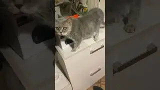 Она просто будет ждать, долго и молча.