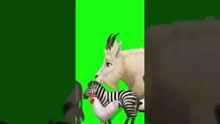 Green Screen Animal Stampede 