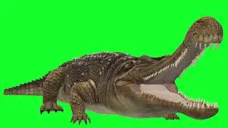 Green Screen | Chroma Key | Animal 4K | Sarcosuchus