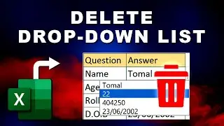 How to delete a drop down list in Excel