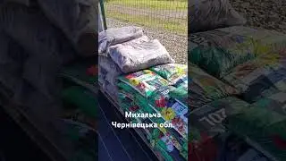 Саджанці винограду і плодових культур. с. Михальча