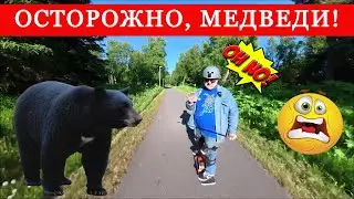 Случай на Аляске История про Медведя и Туриста | Анкоридж Жизнь в США