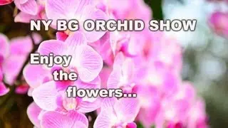 2013 Orchid Show - NY BOTANICAL GARDEN - Slideshow (WATCH IT IN 720/1080 HD)