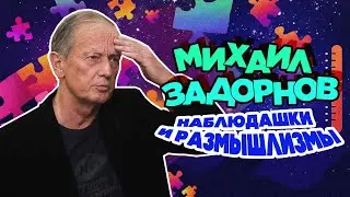 Михаил Задорнов - Наблюдашки и размышлизмы | Юмористический концерт 2015