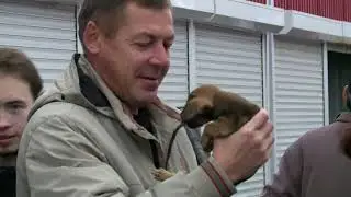 Казанский птичий рынок закрывают