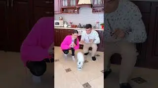All cats was shocked 