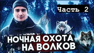 Стая Волков нападает на охотника.   Пояснение и ответы на комментарии.