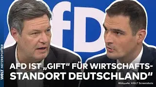 ROBERT HABECK: Ampel-Chaos, AfD und Bürgergeld – 
