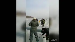В Приморье рвёт лед, рыбаки спасаются бегством