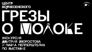 Кураторская экскурсия Павла Пепперштейна и Дмитрия Хворостова по выставке «Грезы о молоке»