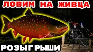 50 БЕСПЛАТНЫХ РУЛЕТОК ДЛЯ ЧАТА 🎁 В  РУЛЕТКЕ - РАПТОР, ВЕНГА, РИГАЛ 🔴 РОЗЫГРЫШИ И ТУРНИРЫ 💥СТРИМ РР4