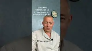 Пэт терапия