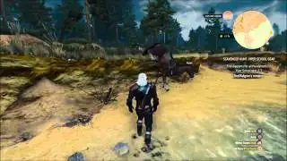 Witcher 3 - Amazing Roach