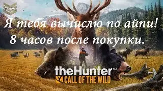 theHunter: Call of the Wild - Я тебя вычислю по айпи! 8 часов после покупки.