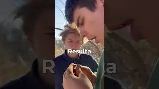 Fui de PESCA con un IMÁN *final inesperado*