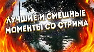 Лучшие & Смешные моменты SERTIM #1| WOT скатился