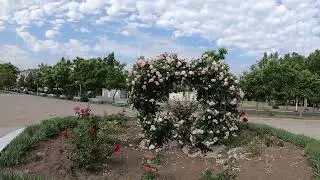 Новая Каховка 2022 HD